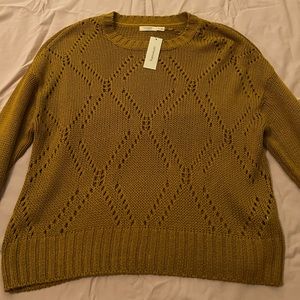NWT francesca‘s sweater